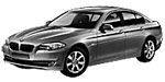 BMW F10 C3110 Fault Code